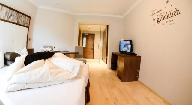 Номер Classic Hotel Jennys Schlössl
