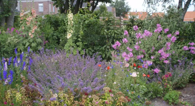 B&B Fam. Tavenier, Book Bed and Breakfast Vrouwenpolder 