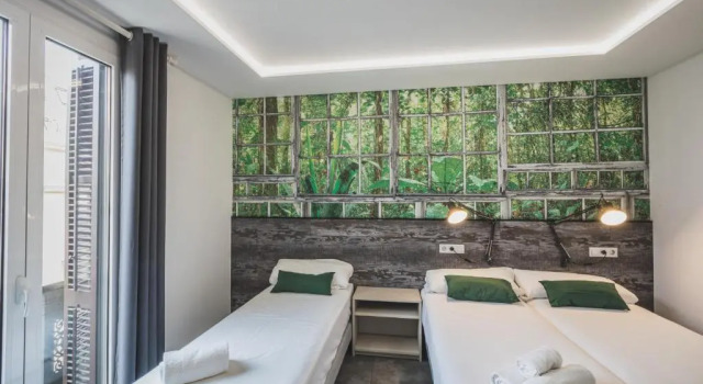 Номер Standard Fontanella Green House