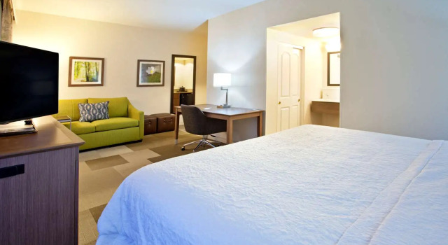 Студия Hampton Inn & Suites Nashville-Smyrna