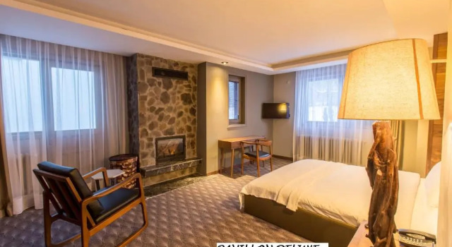 Двухместный номер Deluxe Abant Lotus Otel