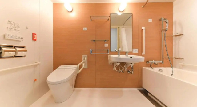 Одноместный номер Standard The Centurion Hotel & Spa Classic Izumo
