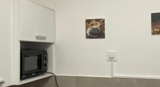 Двухместная студия Deluxe Pupin Palata business apartman B5