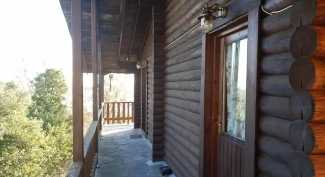 Номер Standard Pangeo forest village