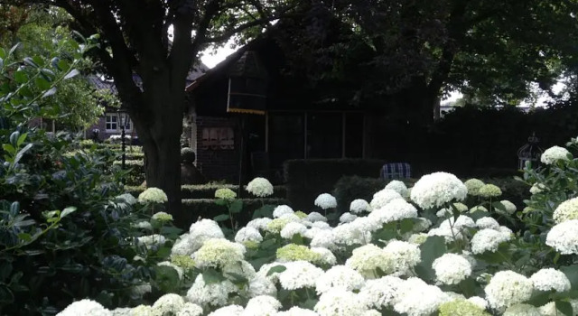 B&B De Vlinder, Prenota Bed & breakfast Venray North-Limburg