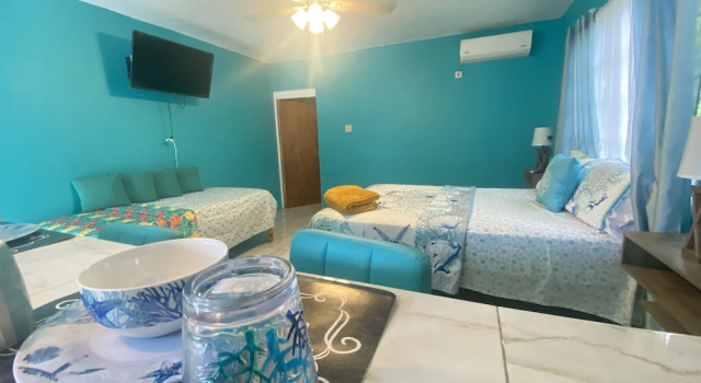 Вилла Yanceylargo Estate - Newly Renovated 3 Br Villa W Gorgeous Mountain Views 3 Bedroom Villa by RedAwning
