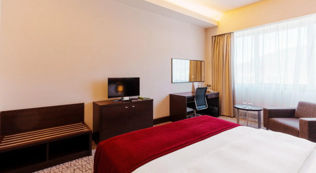 Двухместный номер Standard Holiday Inn Zilina by IHG