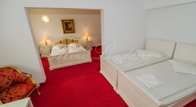 Семейный люкс Hotel Cetate