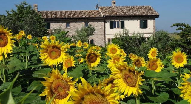Agriturismo Ca' Nick, Rezervovat Hotel Fermo 