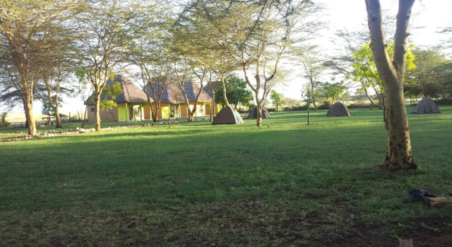 Бунгало Eco Boma Camp
