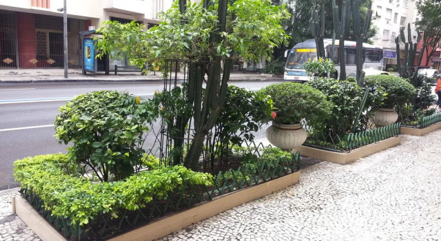 AP Raul Pompeia