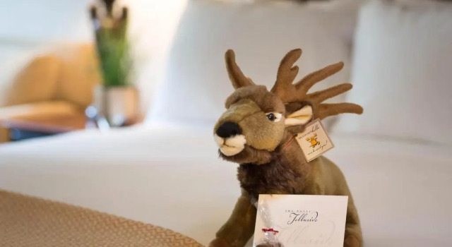 Двухместный номер Standard The Hotel Telluride