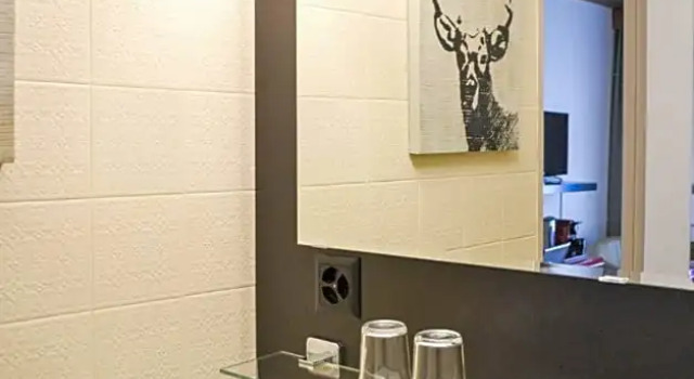 Номер Standard Hotel Landhaus Säntis Herisau