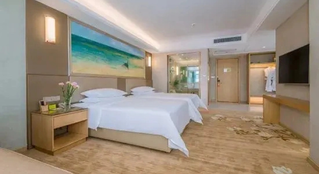 Люкс Executive с красивым видом из окна Vienna International Hotel (Wuhan Wangjiawan Renxinhui)