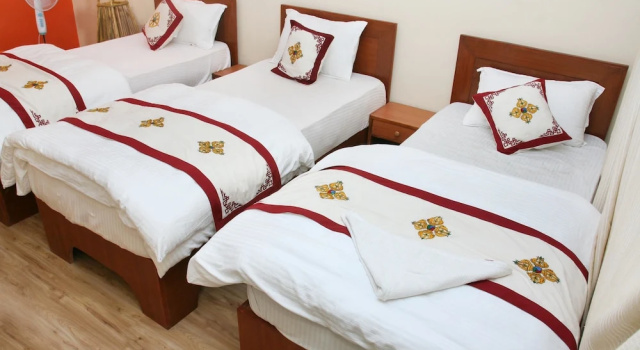 Трёхместный номер Standard Thamel Backpackers Home
