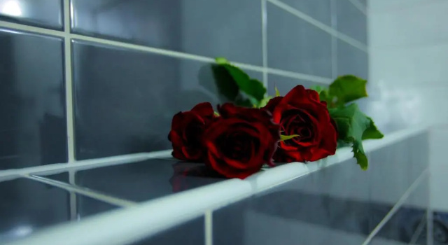 Люкс Black Tulip Hotel