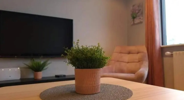 Kirkjufell central apartment