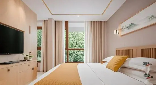 Люкс Deluxe Wangshanju DreamHome Designer Scenic Boutique Hotel (Mount Fanjing Scenic Area East Gate)