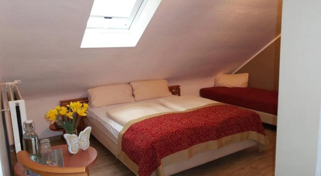 Семейный номер Standard Hotel Alt Montjoie