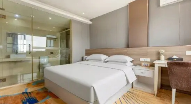 Двухместный люкс Business Victoria Hotel