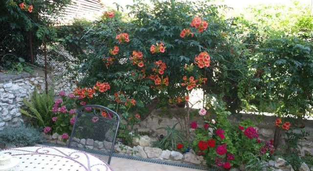 Apartment Branka, Prenota Appartamento Splitska 