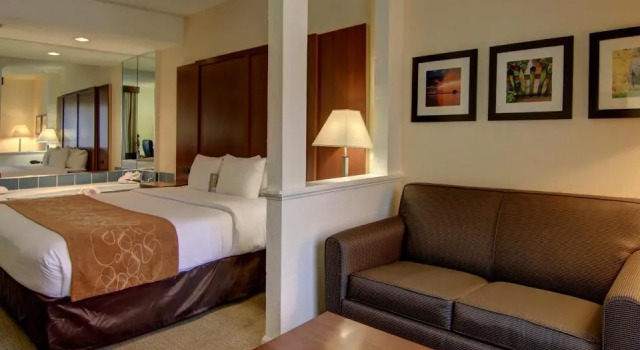 Люкс Standard Comfort Suites Cumming-Atlanta near Northside Hospital Forsyth