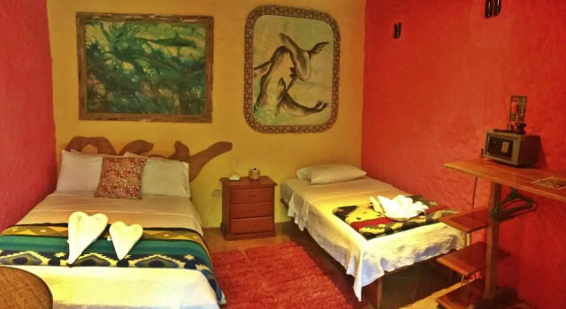Четырёхместный номер Standard Lonesome George Ecolodge