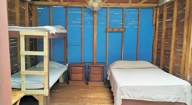 Номер Economy Flutterby House Hostel