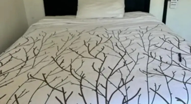 Двухместный номер Economy Encore Inn Inglewood