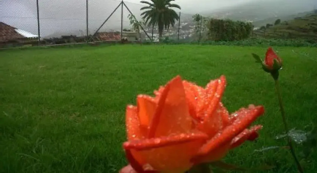 Casa Rural La Coru, Buchen Sie Hotel Santa Úrsula Teneriffa