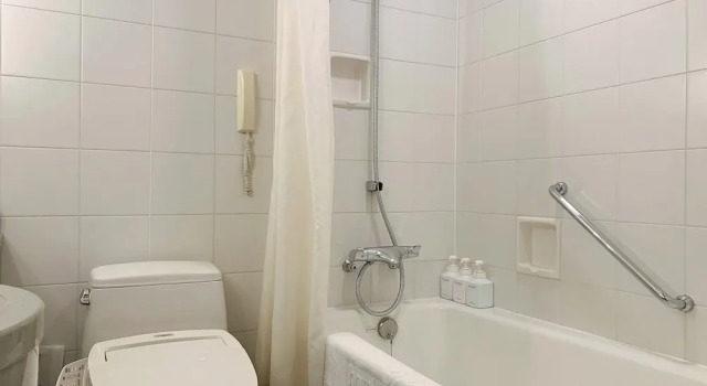 Economy Doppel Zimmer Hotel Nikko Niigata