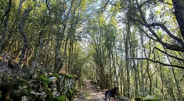 Casa Nanuccia, Varaa Hotelli  