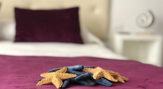 Номер Economy Hotel Océano Centro