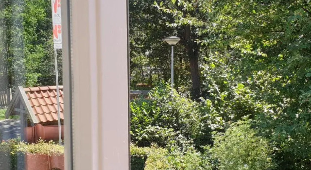Camera Standard BGLV