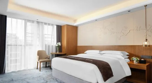 Люкс Deluxe Wellton City Hotel (Ganzhou Railway Station)