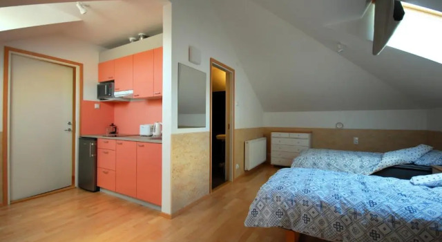 Двухместный номер Standard Piibutopsu Holiday House