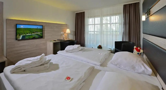 Двухместный номер Standard Michel Hotel Waldkirchen am Badepark