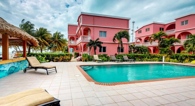 Saponaria 21-22 at Caribe Island Gold Standard Certified