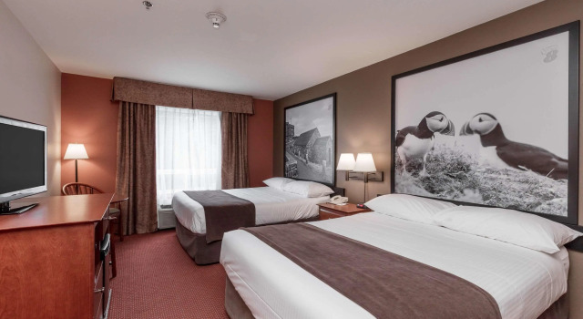 Super 8 By Wyndham St Johns