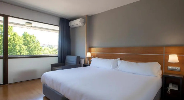 Habitación doble Estándar con vista al parque Sancho Ramirez