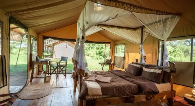 Номер Standard Baobab Tented Camp