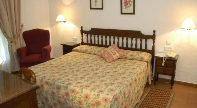 Двухместный номер Hotel Los Olivos
