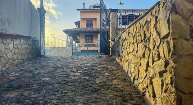 L'ulivo