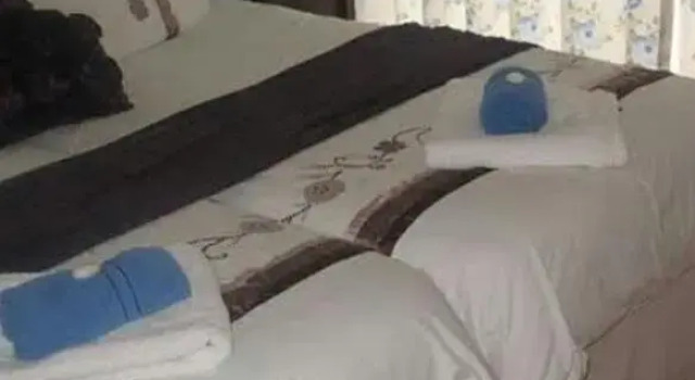 Номер Standard Bottlenose B&B