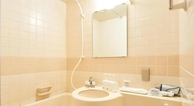 Одноместный номер Standard Hotel Marroad Tsukuba