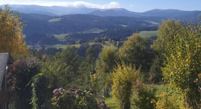 Апартаменты Alban Berg Villa
