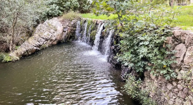 Коттедж Casa da Forja - Casa de Campo com Piscina