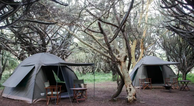 Тент Maji Moto Maasai Cultural Camp