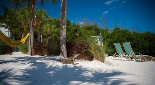 Двухместный номер Standard Ibis Bay Resort