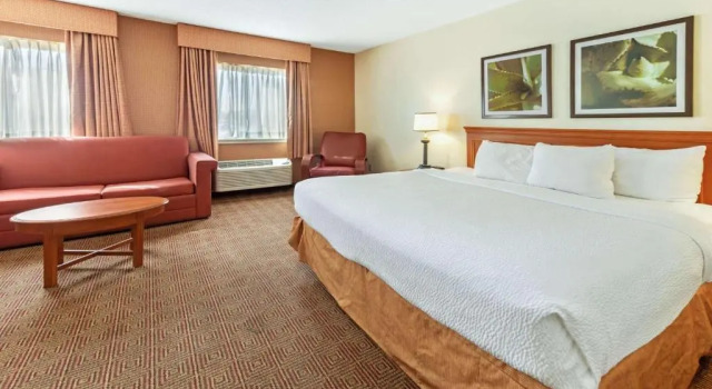 Номер Executive La Quinta by Wyndham Tampa Brandon West